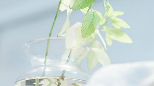 适合发朋友圈的正能量句子 刹那间，到处都是雪