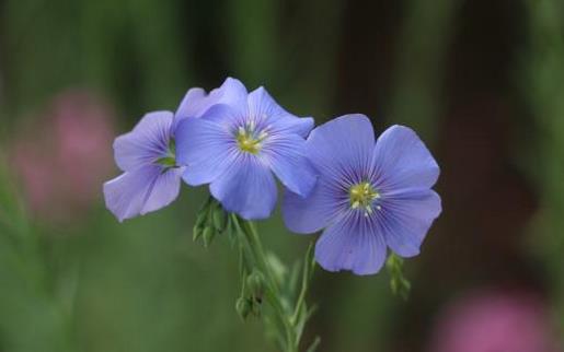 女生霸气个性签名短句 往骨里看,见骨髓