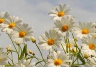 阳光正能量的励志说说短语 快手说说励志短语