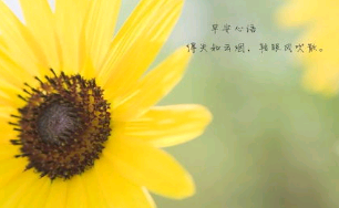 早安感恩句子带美图