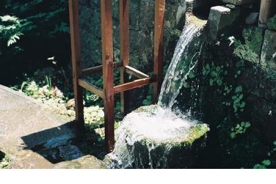 午安心语正能量句子 朋友圈午安说说