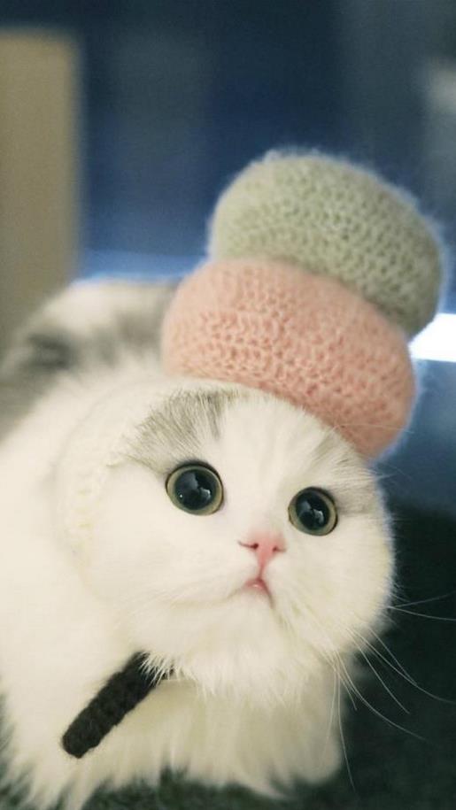 晚安励志语录致自己 青春励志说说带图片