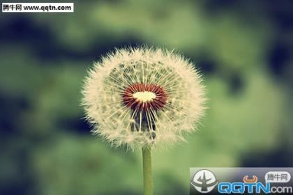 致自己励志的唯美句子 鼓励读书的优美句子