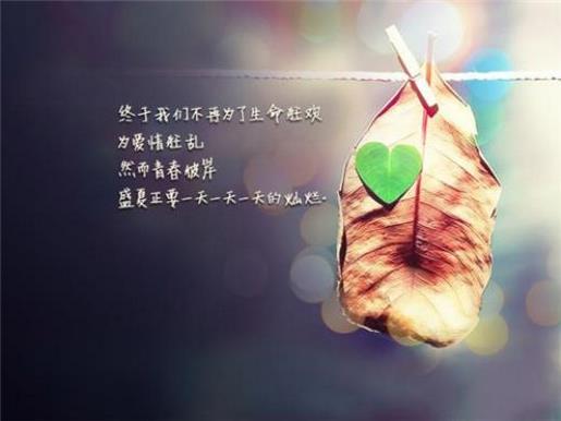 对生活最好的回应就是快乐