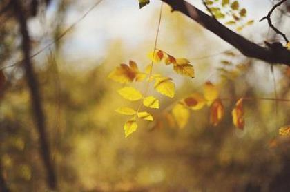 有内涵的句子说说心情 超可爱的说说句子