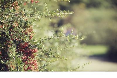 道德名言名句经典集 孔子有关道德的名言