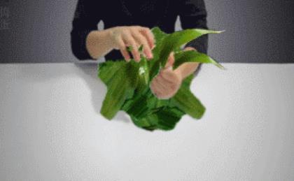 教师节祝福语100字 家长对教师节寄语