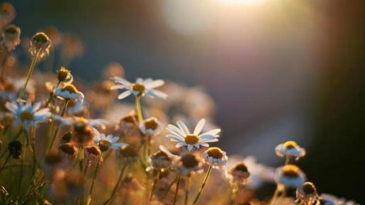 如果感动不了你我就放空我自己 是我薄你死生不