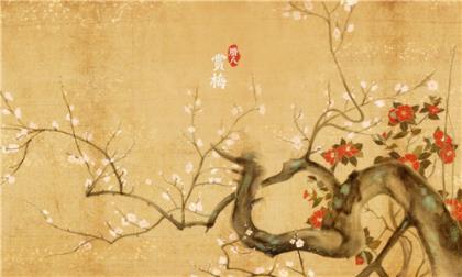 励志说说致自己带图 以我枯死,还你绿树天堂