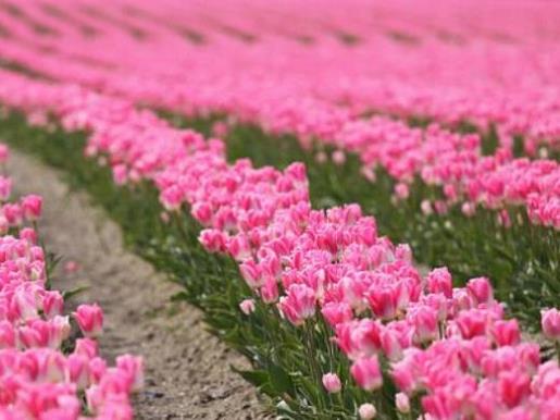 给女孩发早安暖心句子 关于早安的唯美句子