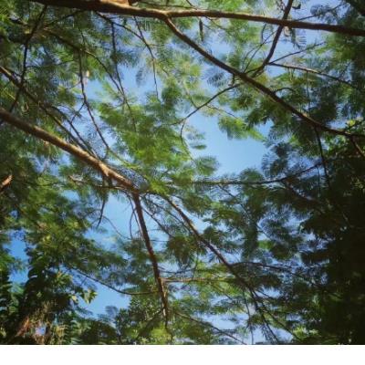 表达风景美的心情说说 表达家人很重要的说说