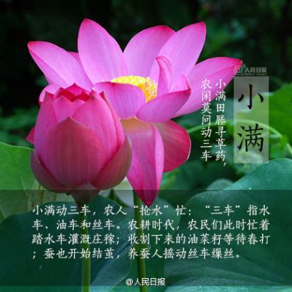 好的说说句子 突然清醒的说说