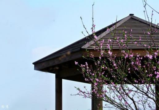 追求高质量生活的句子 追求生活品质