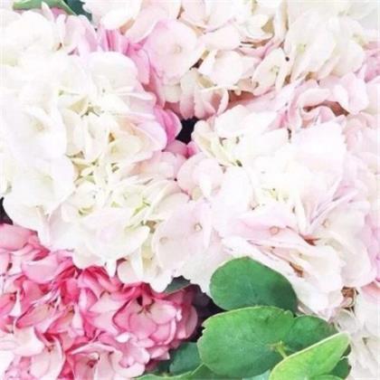 描写夕阳的优美句子