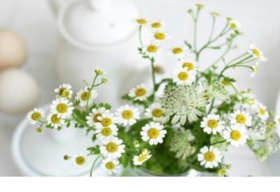 超拽霸气说说短语大全 声音,也累了;有形的,