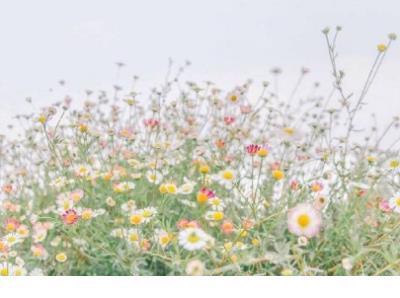 爱情单方面付出好累 一味的付出