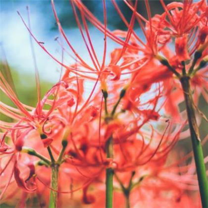 请离开我，因为我想要幸福