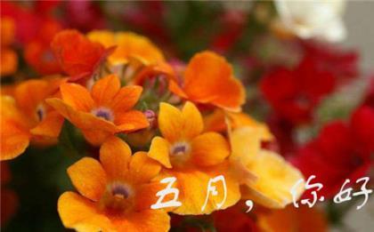 经典伤感说说带图片 什么美好的梦吗？我有你的