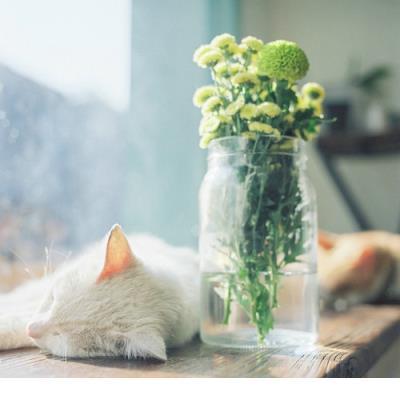 朋友圈简短 早安语录朋友圈语录