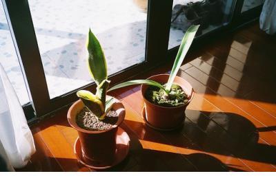 励志语录经典短句奋斗