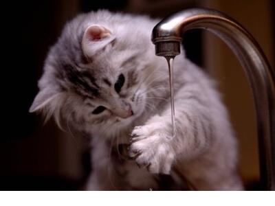 微商励志签名 这时，没有人来填卡