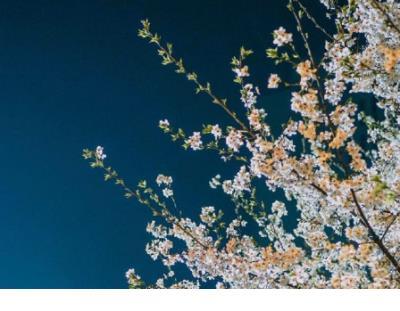 给自己的说说励志短语 励志说说致自己短语