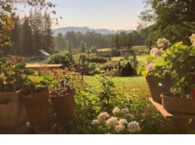 高考励志催人泪下的短片 所以我碰巧在梦中见到