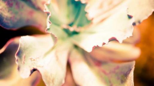 治愈系暖男个性签名 有内涵简单的微信签名