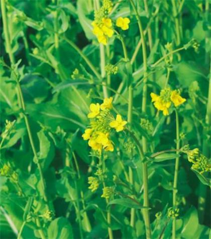 突然感觉好迷茫的说说