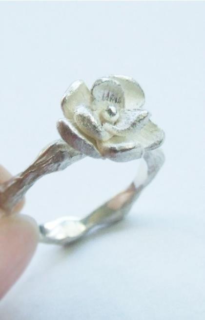 史上最牛掌门系统 心在飞扬