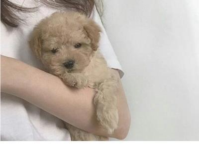 个性励志签名 成长励志个性签名青春