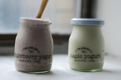 形容文字很深奥难懂的句子