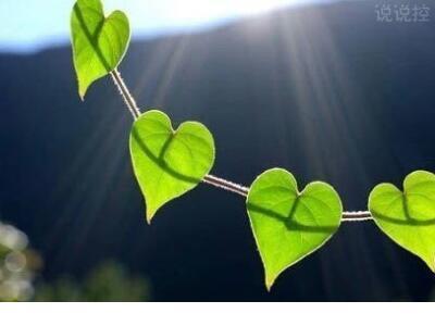 平安夜情话最暖心短句 我不怕千万人阻挡，只怕