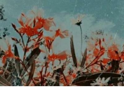 发朋友圈幽默搞笑短句