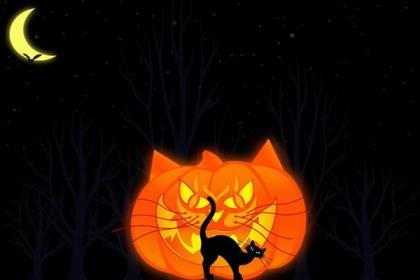 职工运动会口号押韵有气势 我的爱势不可挡，我