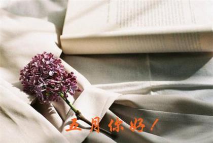 牵挂一个人的心情诗句 想你的情话短句