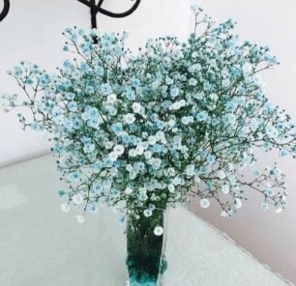 牵挂一个人的心情诗句 想你的情话短句