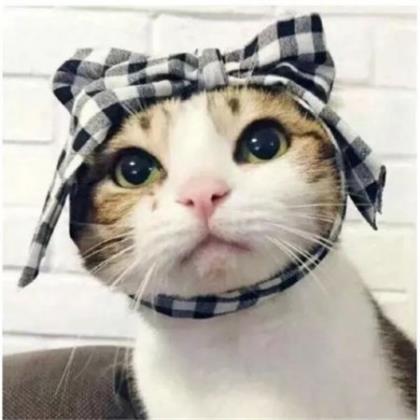 朋友圈人生感悟配图 朋友圈感悟人生配图