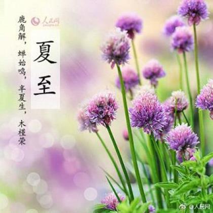 励志优美句子 很优美的句子和段落