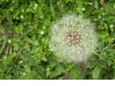形容冬天天气的词语