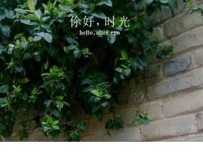 获奖后朋友圈励志说说 朋友圈说说励志短语