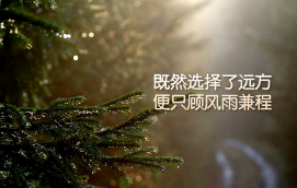 学徒的励志句子