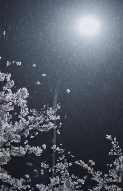 适合微信个性签名的句子霸气 你每称一次体重，
