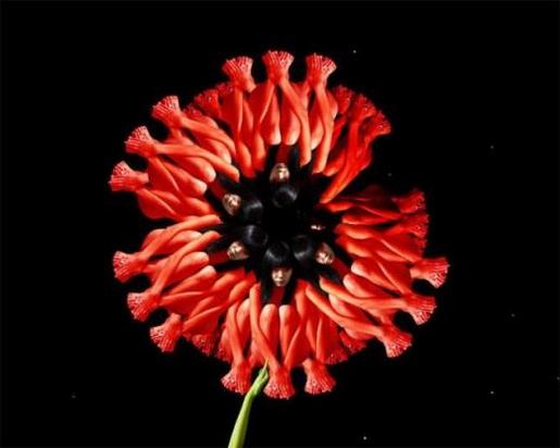 关于描写冬天的句子 描写冬季的优美句子