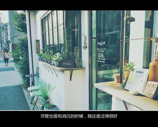 写给自己的励志签名 播下你选择的种子,你就会