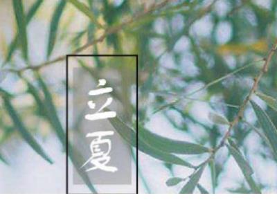 接地气的励志句子 赞美客人的句子接地气