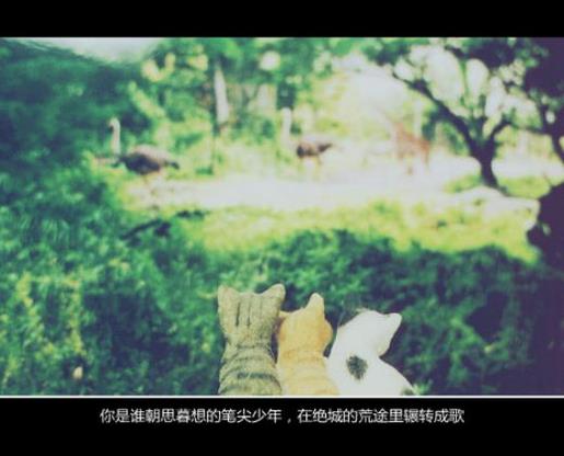 励志签名简短的八个字 签名说说励志