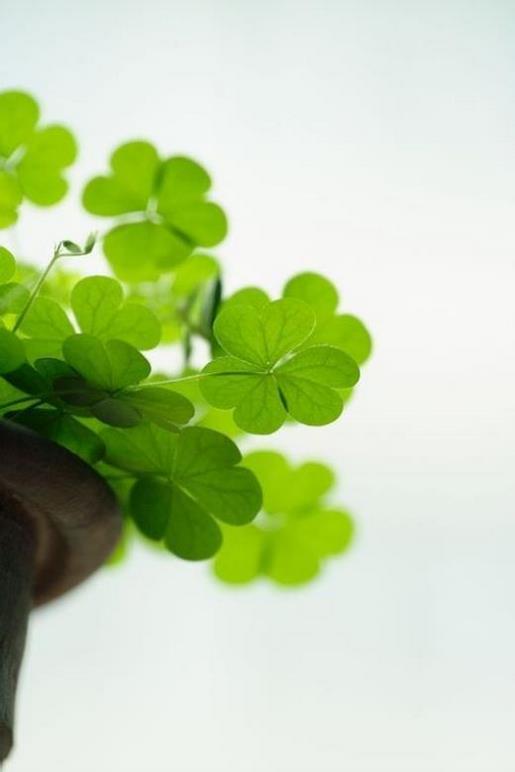 关于爱情的唯美句子