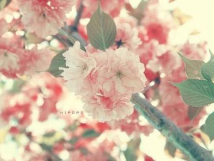 情侣个签一男一女浪漫简短可爱版