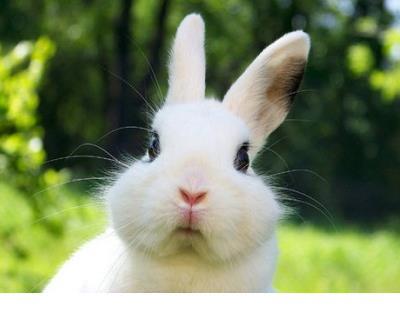 空间签名大全 搞笑空间说说大全